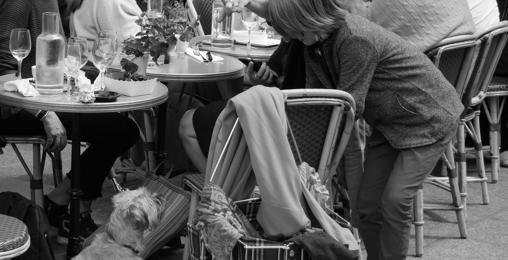 La Solitude, un mal pour un bien. Sarah Donsar